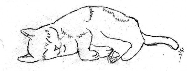 :  “Roo Sleeping” by Kay Sluterbeck; tracing paper transfer on Bristol paper.  This transfer picture is a small part of a detailed drawing in my sketchbook.  When making the transfer I left out the background and concentrated on the simple lines of the cat.  I made several prints of the subject using this method and colored a few of them, leaving this one plain.  All prints were “fixed” with Krylon spray to prevent smudges.