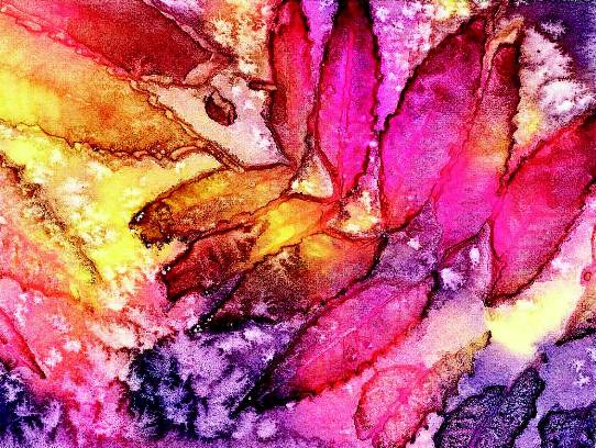 sunprint-by pat rayman2