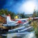 "Cribbage and Crickets" oil on canvas, 29 x 20 in.