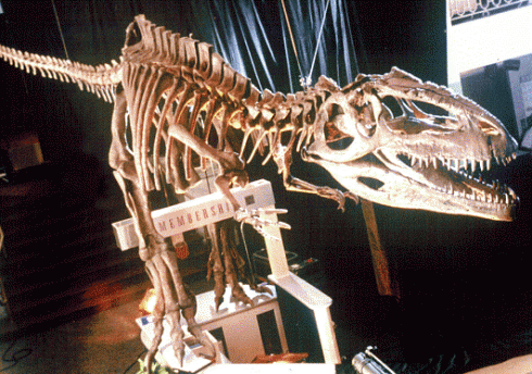 Giganotosaurus