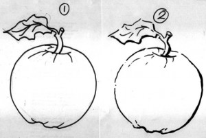 (1) outline drawing; (2) accented outline combined with broken outline.  Notice how the accent and broken line in drawing 2 give it more interest.
