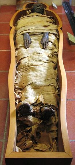 An Egyptian mummy kept in the Vatican Museums.