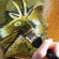 Laura Kraemer, Age 13, Bryan , Ohio using a transparent wash on her rendition of cave art.
