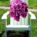 Laura Cramer’s Peony Chair
