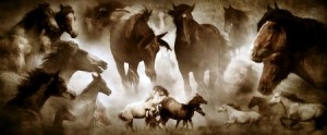 "Mustangs" by Clint Saunders