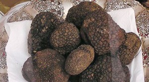 Blacksummertruffle